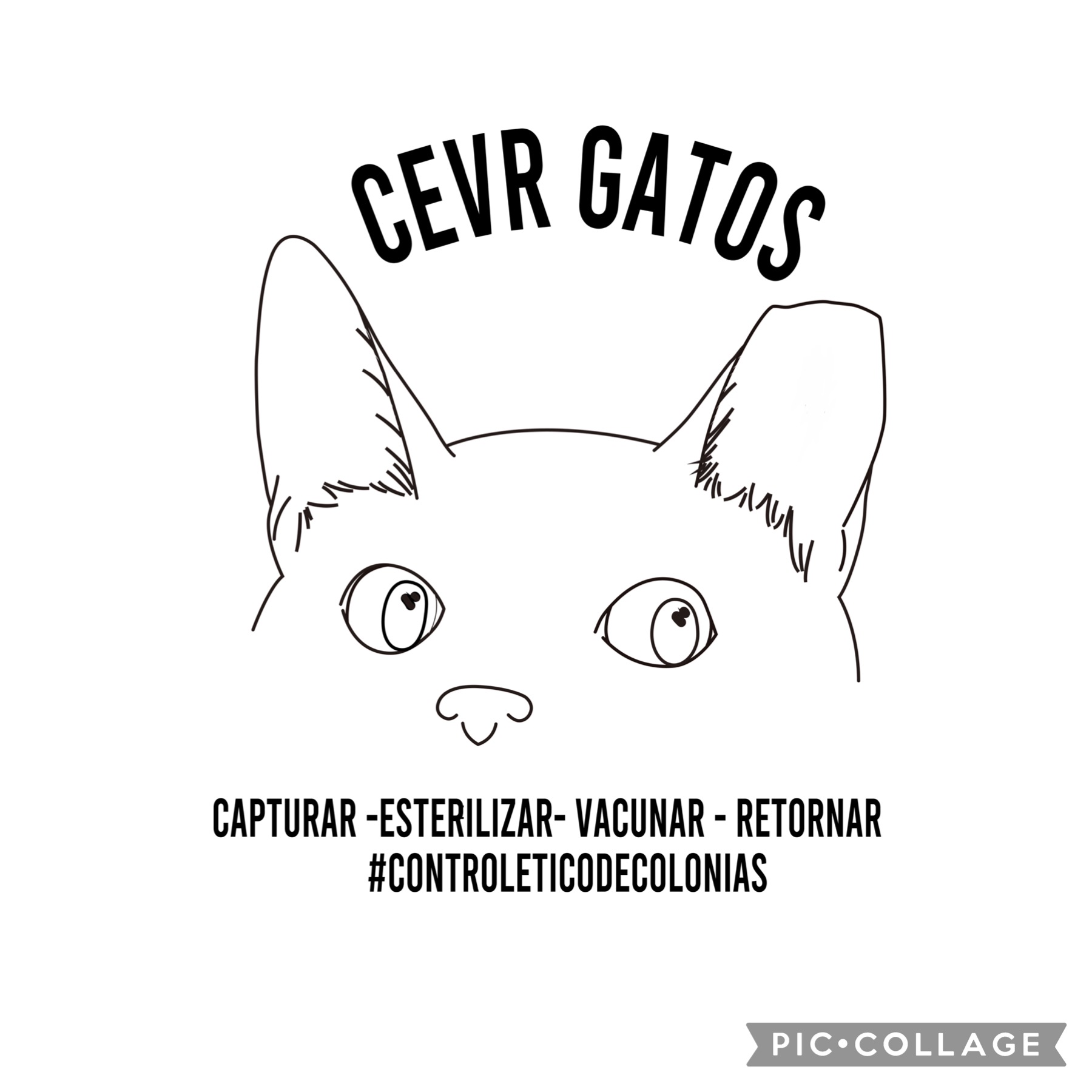 CER Gatos Chile